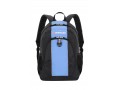 Школьный рюкзак WENGER 17222315 (объем 20 л, 32Х14Х45 см)